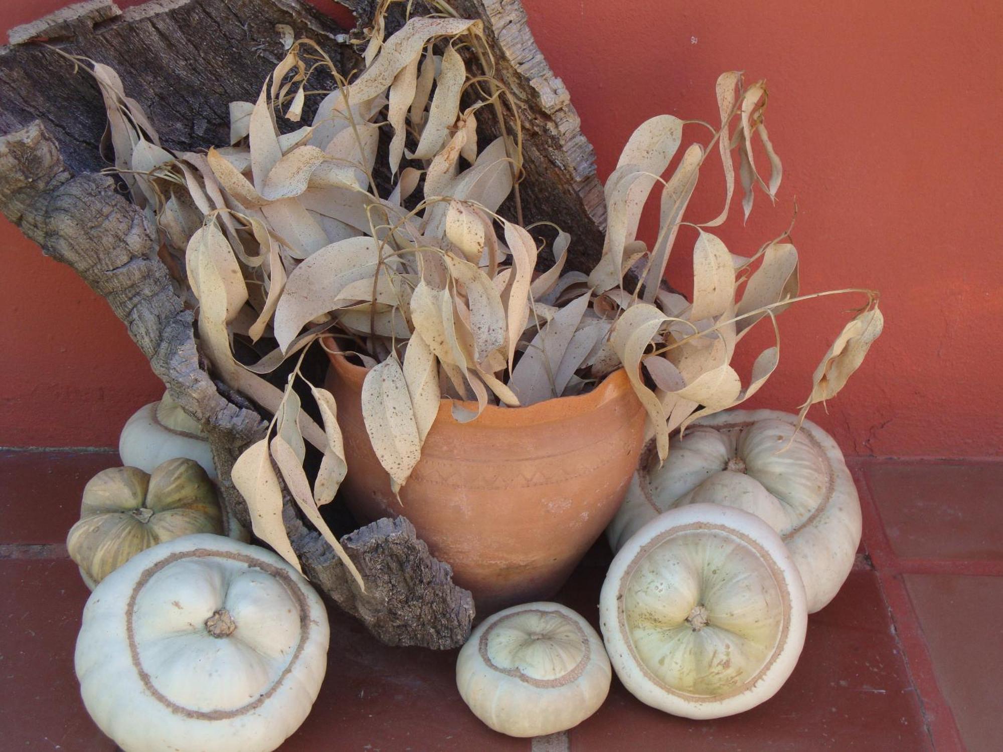 Verdemar Cercal do Alentejo Εξωτερικό φωτογραφία
