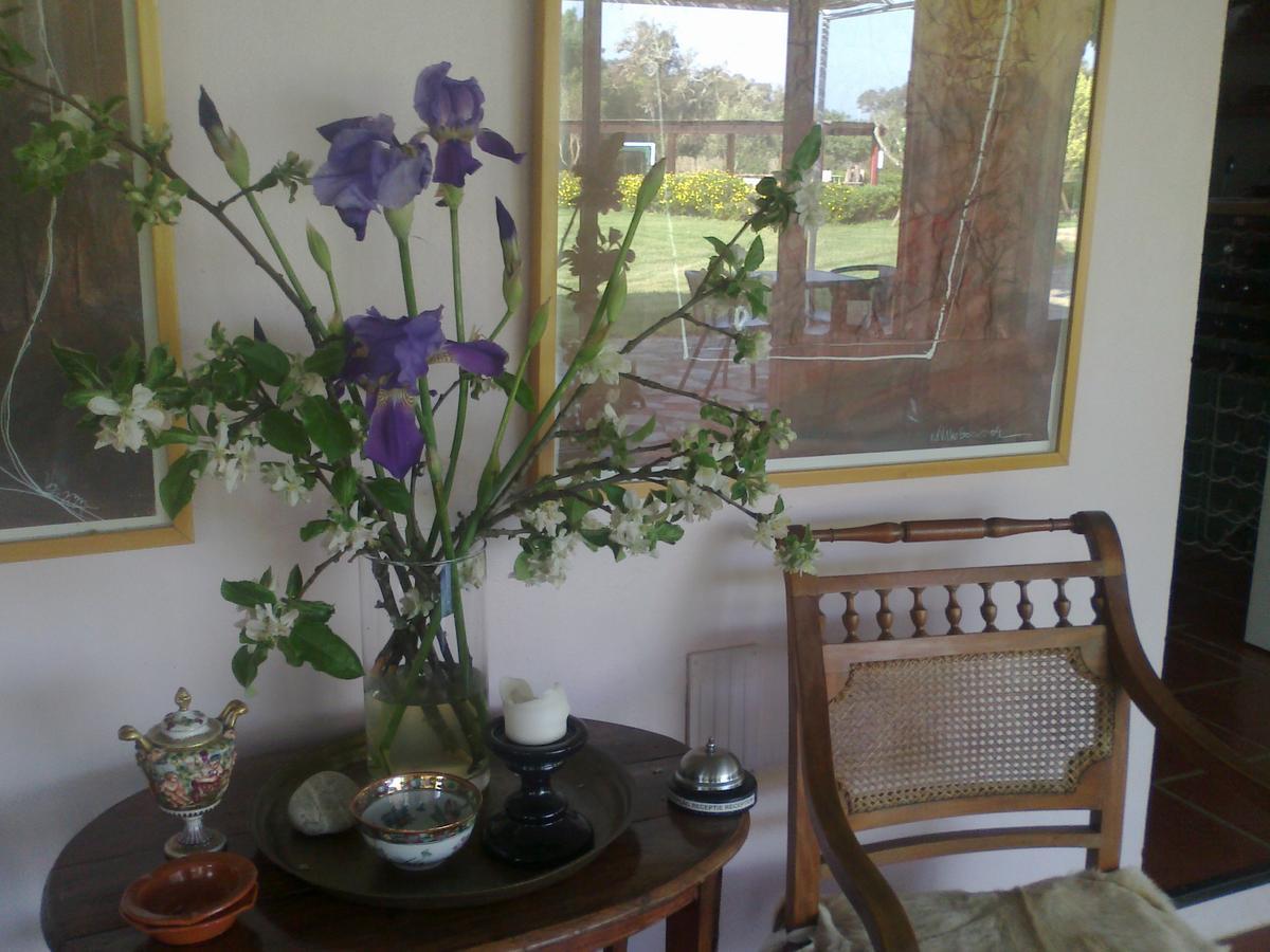 Verdemar Cercal do Alentejo Εξωτερικό φωτογραφία