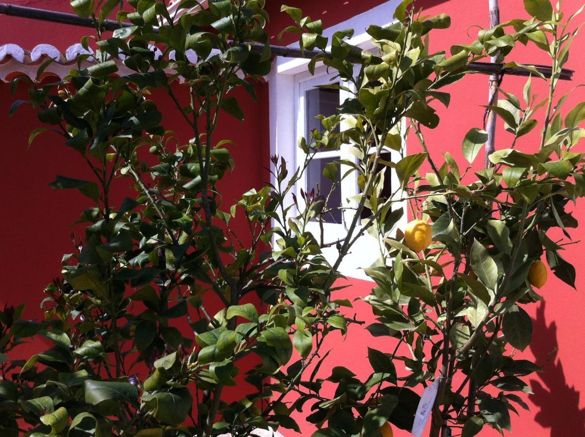 Verdemar Cercal do Alentejo Εξωτερικό φωτογραφία